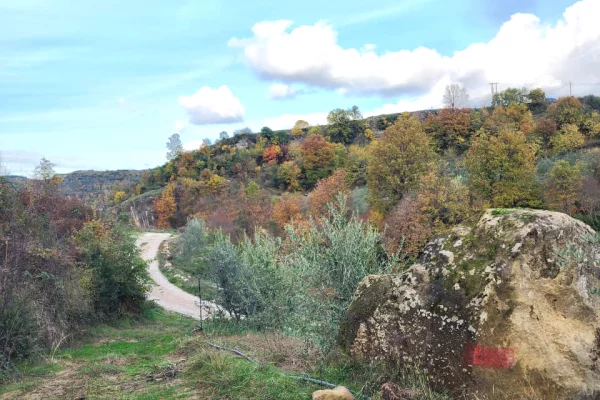 🌍 SHITET: Toke Are 604 m2 Brenda ne Fshat me Pamje nga Pylli & Lumi📍Ne Fshatin IBE  39.200Euro 🏕