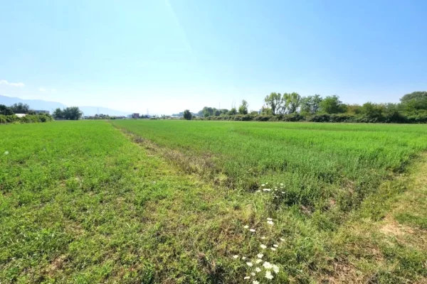 Land for Sale in Tirana - 160,000 Euro