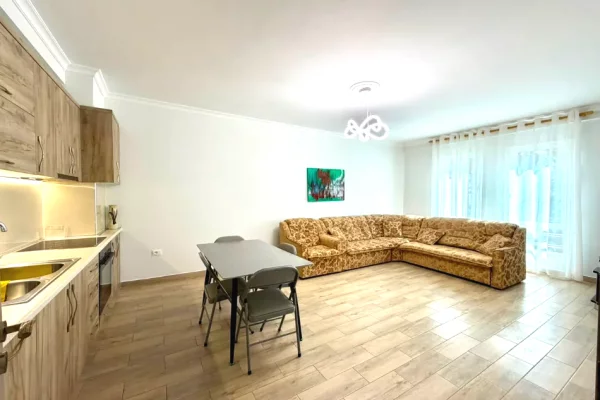 Shtepi me qera 1+1 ne Tirane - 55,000 Leke