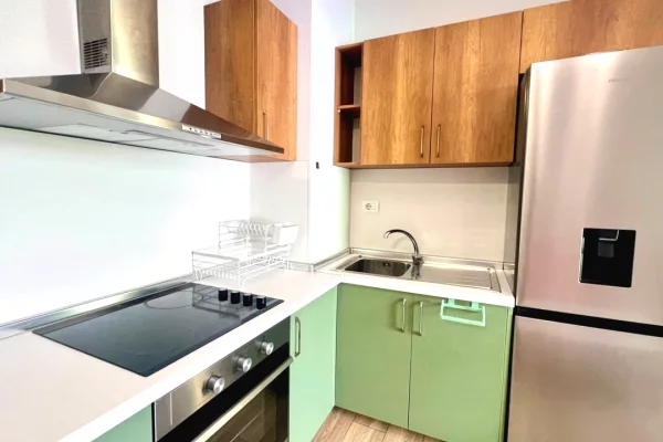 Shtepi me qera Apartament ne Tirane, 1+1, Mobilimi E mobiluar, Pagesa 40,000  Leke.