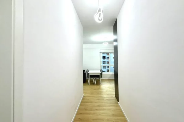 House for Rent Apartment in Tirana, 1+1, Furniture Furnished, Payment 50,000  Leke.