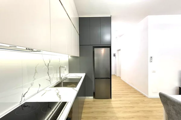 House for Rent Apartment in Tirana, 1+1, Furniture Furnished, Payment 50,000  Leke.