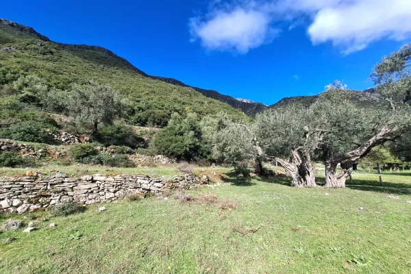 SUPER Toke ne Shitje 600 m2 📍Ne Borsh - Te karburanti (Rruga e Lumit) 🔥 (80.000 EURO) ( super cmim)🔥100 m nga rruga Kryesore sa hyne te karburanti