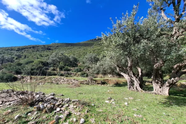 SUPER Tokë në Shitje 600 m2 📍Në Borsh - Te karburanti (Rruga e Lumit) 🔥 (80.000 EURO) ( super çmim)🔥100 m nga rruga Kryesore sa hyne te karburanti
