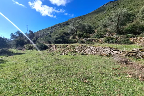 SUPER Toke ne Shitje 600 m2 📍Ne Borsh - Te karburanti (Rruga e Lumit) 🔥 (80.000 EURO) ( super cmim)🔥100 m nga rruga Kryesore sa hyne te karburanti