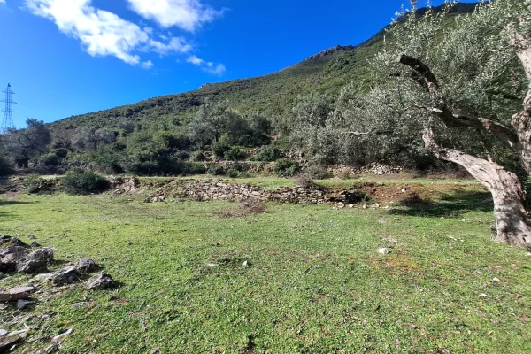 SUPER Toke ne Shitje 600 m2 📍Ne Borsh - Te karburanti (Rruga e Lumit) 🔥 (80.000 EURO) ( super cmim)🔥100 m nga rruga Kryesore sa hyne te karburanti