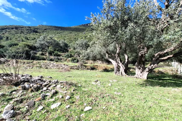 SUPER Toke ne Shitje 600 m2 📍Ne Borsh - Te karburanti (Rruga e Lumit) 🔥 (80.000 EURO) ( super cmim)🔥100 m nga rruga Kryesore sa hyne te karburanti