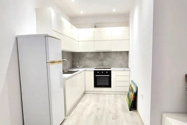 Shtepi me qera Apartament ne Tirane, 1+1, Mobilimi E mobiluar, Pagesa 550  Euro.