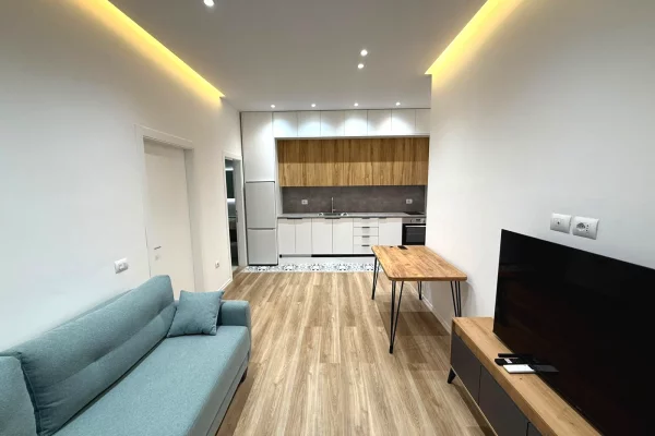 Shtepi me qera 1+1 ne Tirane - 55,000 Leke