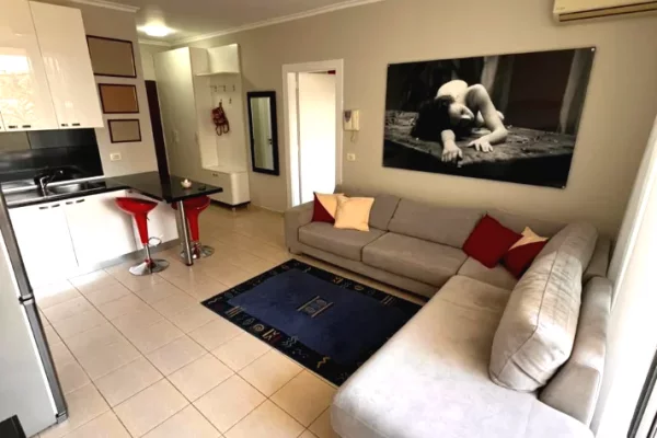 Shtepi me qera Apartament ne Tirane, 1+1, Mobilimi E mobiluar, Pagesa 65,000  Leke.