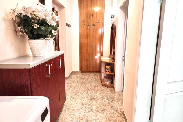 Apartment for rent in Tirana 1+1, Furnished