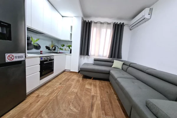 Apartment for rent in Tirana 1+1, Furnished