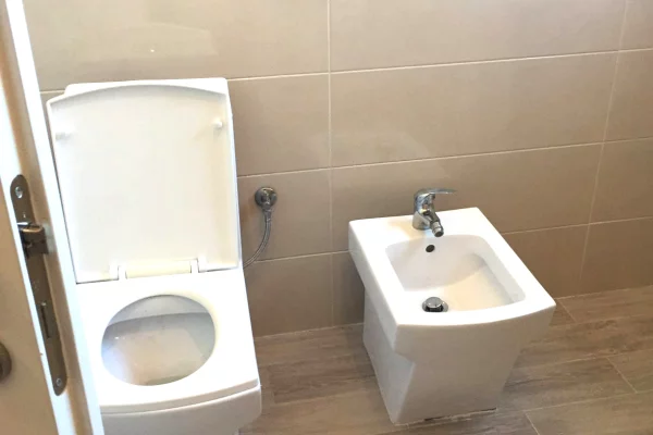 Shtepi me qera Apartament ne Tirane, 1+1, Mobilimi E mobiluar, Pagesa 450  Euro.