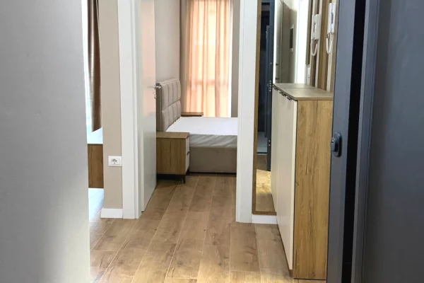 Shtepi me qera Apartament ne Tirane, 1+1, Mobilimi E mobiluar, Pagesa 42,000  Leke.