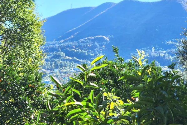 Shtepi me qera Shtepi Private ne Tirane, 1+1, Mobilimi E mobiluar, Pagesa 400  Euro.