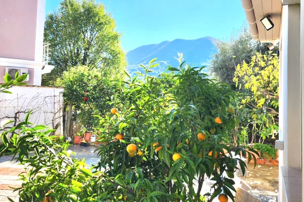 Shtepi me qera Shtepi Private ne Tirane, 1+1, Mobilimi E mobiluar, Pagesa 400  Euro.