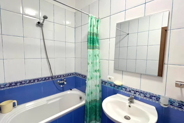 Shtepi me qera 1+1 ne Tirane - 650 Euro