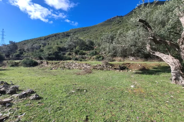 SUPER Toke ne Shitje 600 m2 📍Ne Borsh - Te karburanti (Rruga e Lumit) 🔥 (79.000 EURO) ( super cmim)🔥100 m nga rruga Kryesore sa hyne te karburanti ne Borsh.