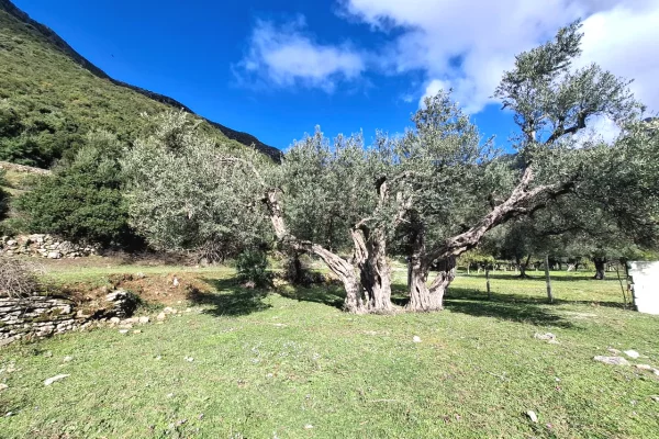 Terreno in vendita a Himara - 79,000 Euro