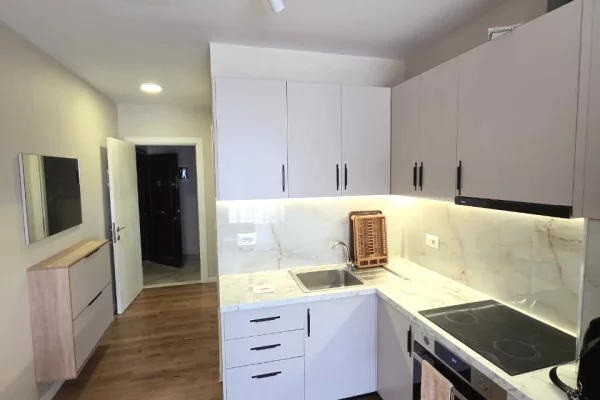 Shtepi me qera Apartament ne Tirane, 1+1, Mobilimi E mobiluar, Pagesa 32,000  Leke.