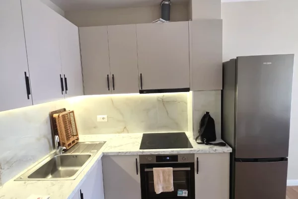 Shtepi me qera Apartament ne Tirane, 1+1, Mobilimi E mobiluar, Pagesa 32,000  Leke.