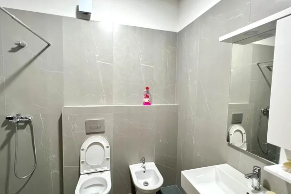 Shtepi me qera Apartament ne Tirane, 2+1, Mobilimi E mobiluar, Pagesa 60,000  Leke.