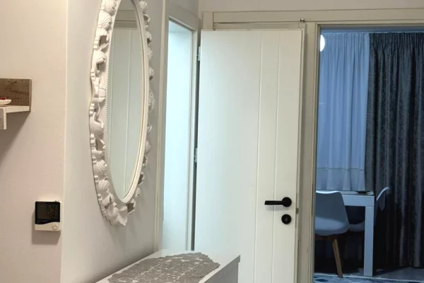 Shtepi me qera Apartament ne Tirane, 1+1, Mobilimi E mobiluar, Pagesa 43,000  Leke.