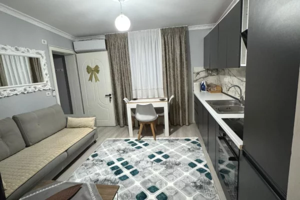 Shtepi me qera Apartament ne Tirane, 1+1, Mobilimi E mobiluar, Pagesa 43,000  Leke.