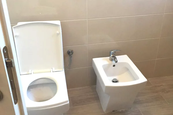 Shtepi me qera Apartament ne Tirane, 1+1, Mobilimi E mobiluar, Pagesa 450  Euro.