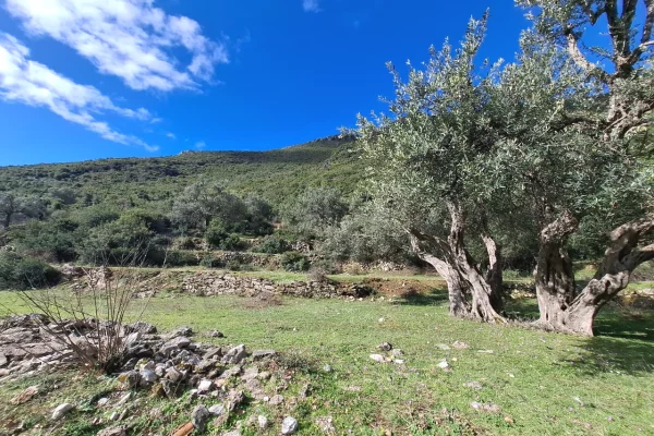 SUPER Toke ne Shitje 600 m2 📍Ne Borsh - Te karburanti (Rruga e Lumit) 🔥 (75.000 EURO) ( super cmim)🔥100 m nga rruga Kryesore sa hyne te karburanti