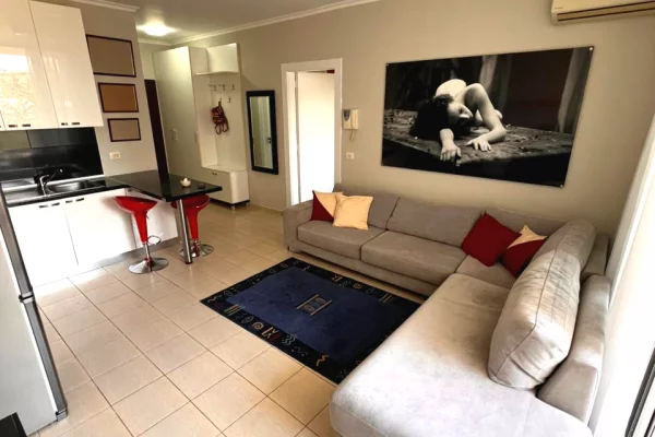 Shtepi me qera Apartament ne Tirane, 1+1, Mobilimi E mobiluar, Pagesa 750  Euro.