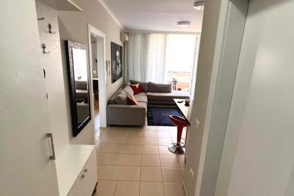 Shtepi me qera Apartament ne Tirane, 1+1, Mobilimi E mobiluar, Pagesa 750  Euro.