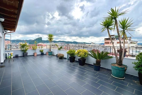 Ambient biznesi me qera 3+1 ne Tirane - 3,000 Euro
