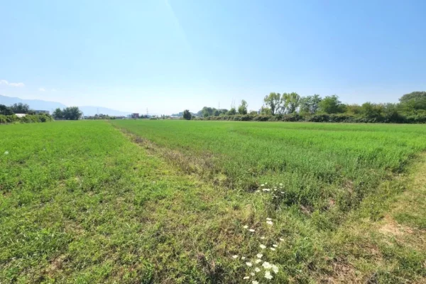 🟤 Shitet Toke 3500m2 Pas Megatek 🏬 ( Autostrada - Tirane - Durres 📍) (( 160,000Euro)) - Vendodhje St