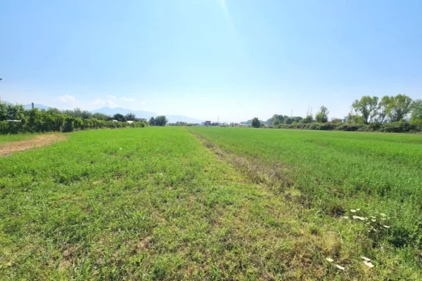🟤 Shitet Toke 3500m2 Pas Megatek 🏬 ( Autostrada - Tirane - Durres 📍) (( 160,000Euro)) - Vendodhje St