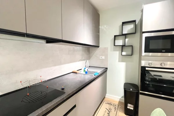 Apartment for rent in Tirana 1+1, Furnished