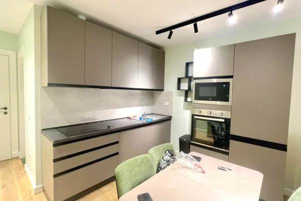 Apartment for rent in Tirana 1+1, Furnished