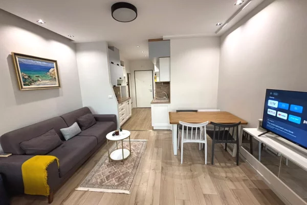 Shtepi me qera Apartament ne Tirane, Garsoniere, Mobilimi E mobiluar, Pagesa 43,000  Leke.