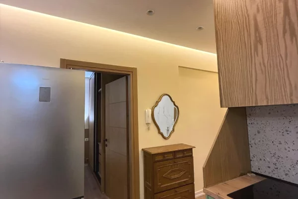 Shtepi me qera Apartament ne Tirane, 1+1, Mobilimi E mobiluar, Pagesa 50,000  Leke.