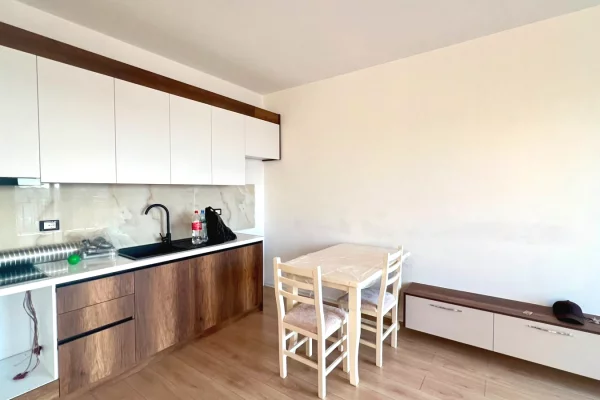 Shtepi me qera Apartament ne Tirane, 1+1, Mobilimi E mobiluar, Pagesa 55,000  Leke.