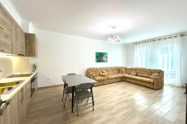 Shtepi me qera 1+1 ne Tirane - 55,000 Leke