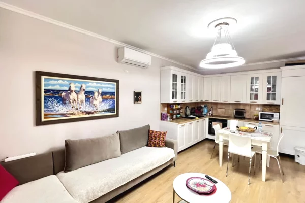 Shtepi ne shitje Apartament ne Tirane, 1+1, Mobilimi E mobiluar, Pagesa 140,000  Euro.