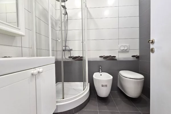 Shtepi me qera Apartament ne Tirane, 1+1, Mobilimi E mobiluar, Pagesa 80,000  Leke.