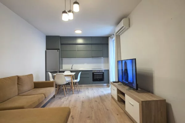 Shtepi me qera Apartament ne Tirane, 1+1, Mobilimi E mobiluar, Pagesa 65,000  Leke.