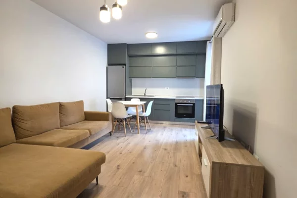 Shtepi me qera 1+1 ne Tirane - 65,000 Leke
