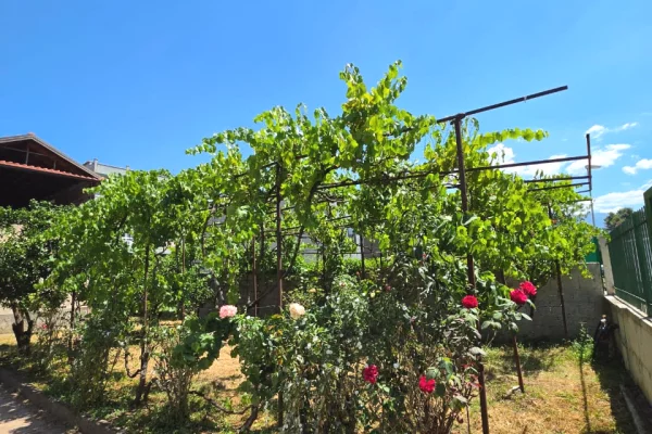 Land for Sale in Tirana - 350,000 Euro