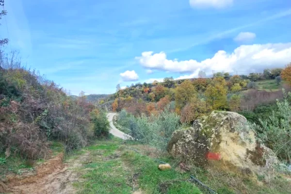 🌍 SHITET: Toke Are 604 m2 Brenda ne Fshat me Pamje nga Pylli & Lumi📍Ne Fshatin IBE 39.200Euro 🏕