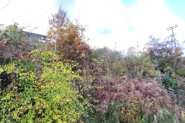 Land for Sale in Tirana - 39,200 Euro