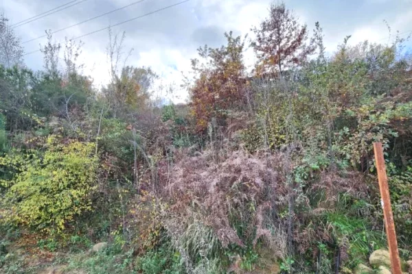Land for Sale in Tirana - 39,200 Euro