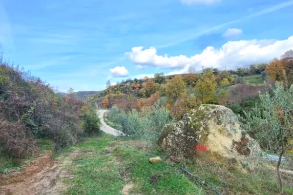 🌍 SHITET: Toke Are 604 m2 Brenda ne Fshat me Pamje nga Pylli & Lumi📍Ne Fshatin IBE 39.200Euro 🏕